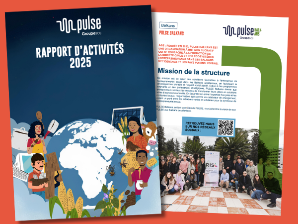 Rapport d'activité 2025 : PULSE Group