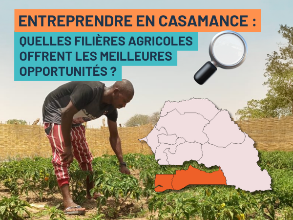 Entreprendre en Casamance : Quelles filières agricoles offrent les meilleures opportunités ?